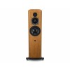 ATC SCM40 (Ex-Demo)