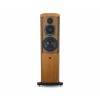 ATC SCM40 (Ex-Demo)
