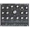 Radikal Technologies - RT-311 Swarm Oscillator
