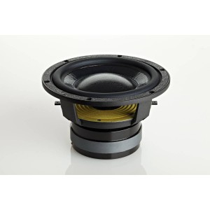 ATC SCM25A PRO - 1st version (coppia)