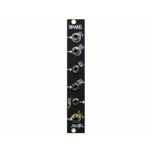 Make Noise Brains