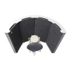 SE Electronics Reflexion Filter Space