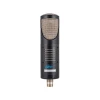 SE Electronics RNT
