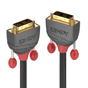 Lindy