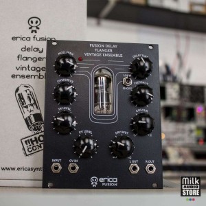 Erica Synths Fusion Delay/Flanger/Vintage Ensemble (usato)