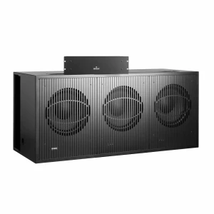 Subwoofer professionali