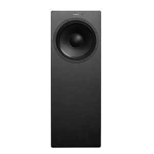 Subwoofer professionali