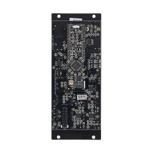 Noise Engineering Ataraxic Iteritas (Black)