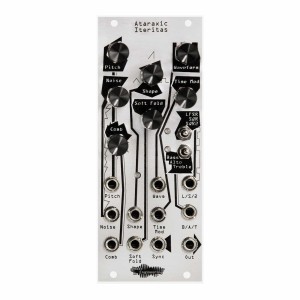 Noise Engineering Ataraxic Iteritas (Silver)
