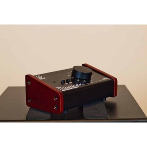 Palmer Monicon (usato)