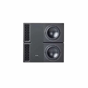 Subwoofer professionali