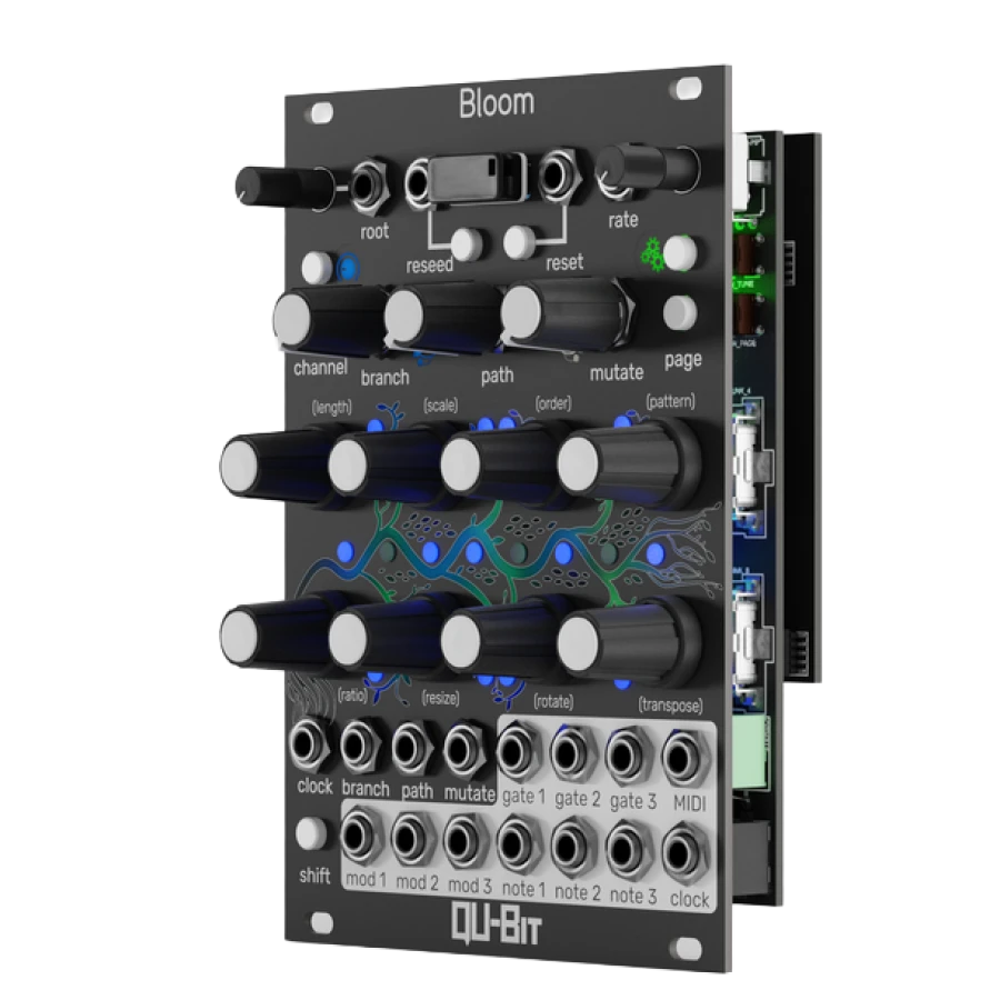 Qu-Bit Bloom v2 (Black)