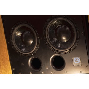 ATC SCM110A SL (Used)