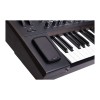 ARTURIA PolyBrute Noir