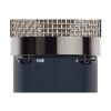 Chandler Limited TG Microphone Type L