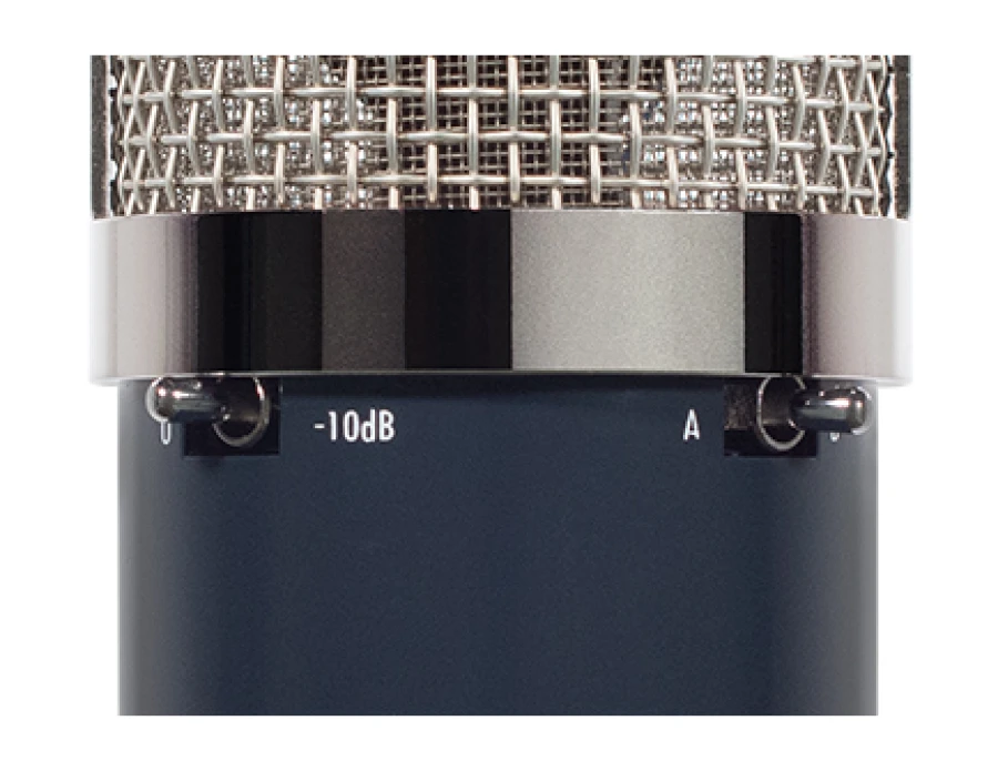 Chandler Limited TG Microphone Type L