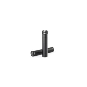 DPA 2012 Stereo Pair with Holders and Windscreens