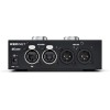 Focusrite RedNet AM2