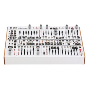 Intellijel Cascadia - White Fog