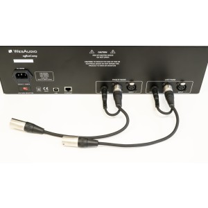 WesAudio ngBusComp feedback adapter