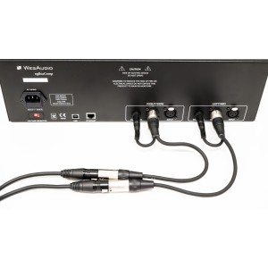 WesAudio ngBusComp feedback adapter