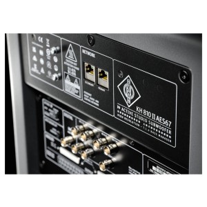 Neumann KH 810 II AES67