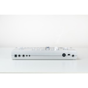 Cyclone Analogic Bass Bot TT-303 (Used)