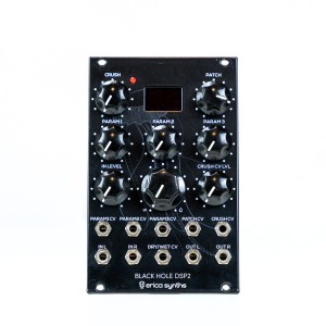 Erica Synths Black Hole DSP2 (Used)