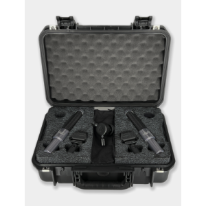 AEA N13 STEREO KIT
