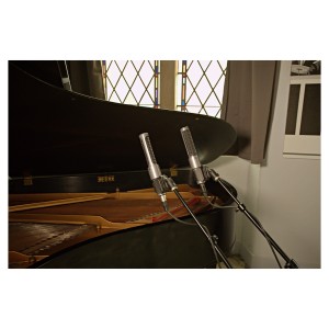AEA N13
