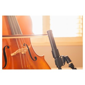 AEA N8 Stereo kit