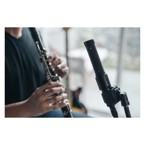AEA N8 Stereo kit