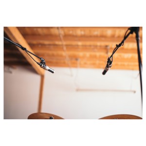 AEA N22 Stereo kit
