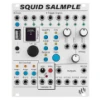 ALM Busy Circuits Squid Salmple